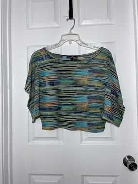 Almost Famous Multicolor Striped Cropped Boatneck Top